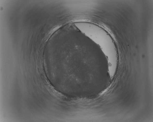 X0000077290385200611101348