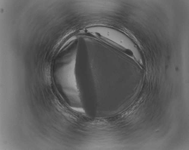 X0000077290386200611101348