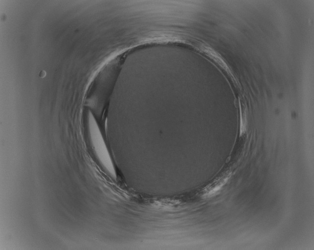 X0000077290387200611101348