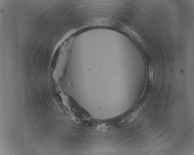 X0000077290388200611101348