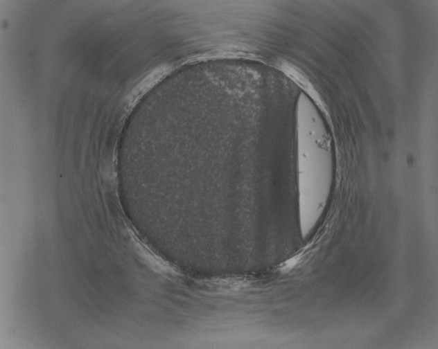 X0000077290389200611101348