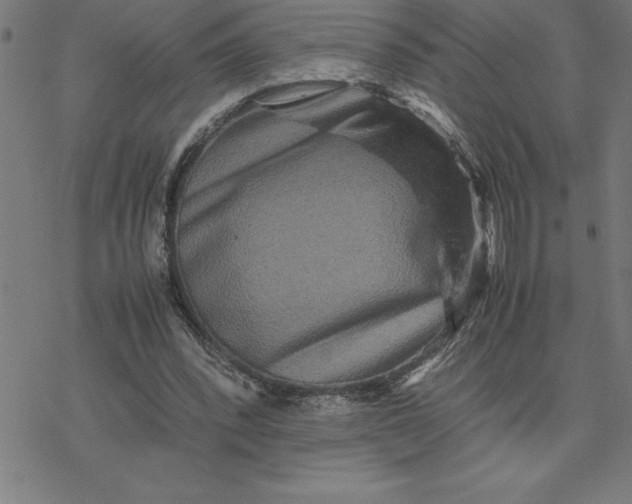 X0000077290392200611101348