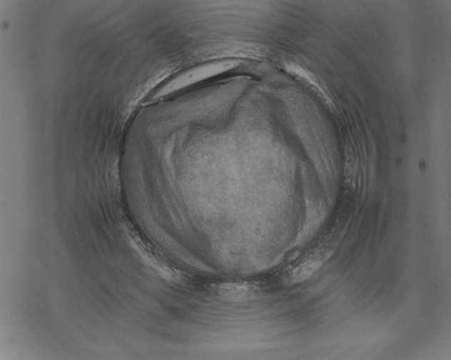 X0000077290394200611101348