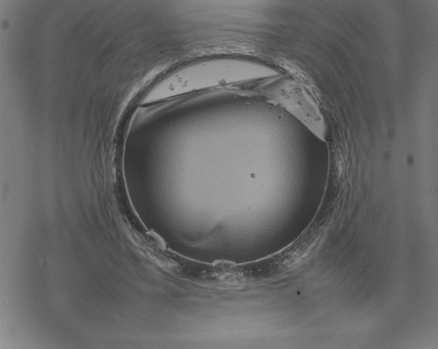 X0000077290395200611101348