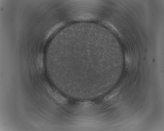 X0000077290396200611101348