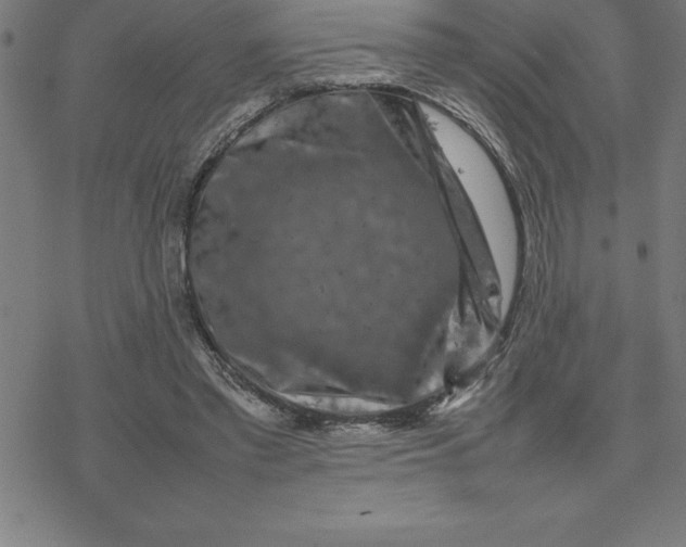 X0000077290397200611101348