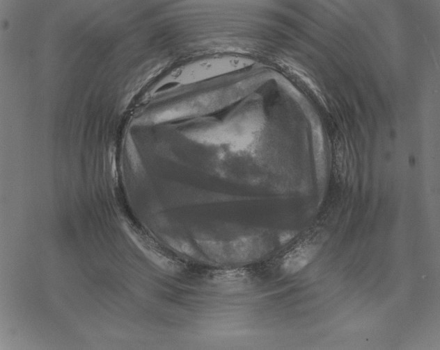 X0000077290398200611101348