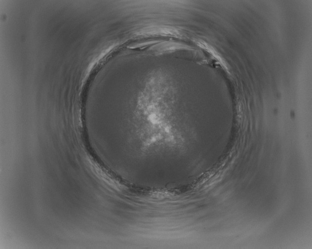 X0000077290399200611101348