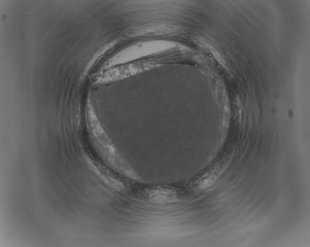 X0000077290400200611101348