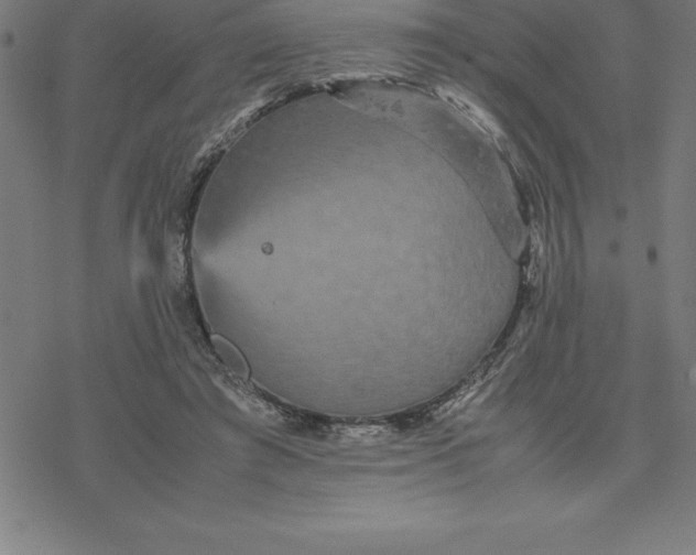 X0000077290401200611101348