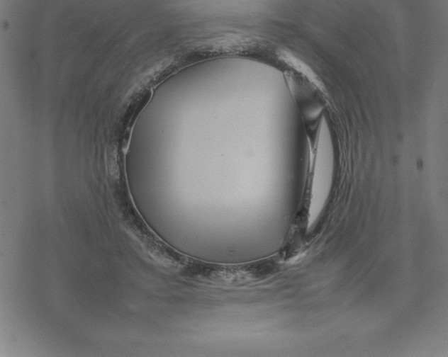 X0000077290403200611101348