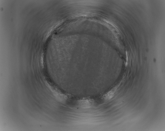 X0000077290404200611101348