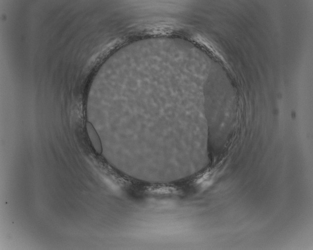 X0000077290407200611101348