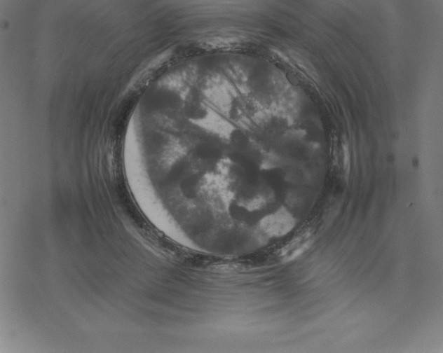 X0000077290408200611101348