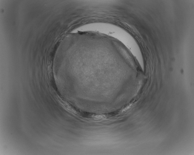 X0000077290409200611101348