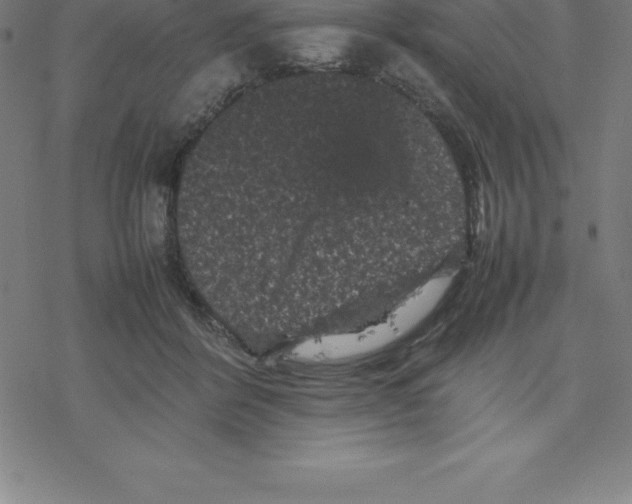 X0000077290412200611101348