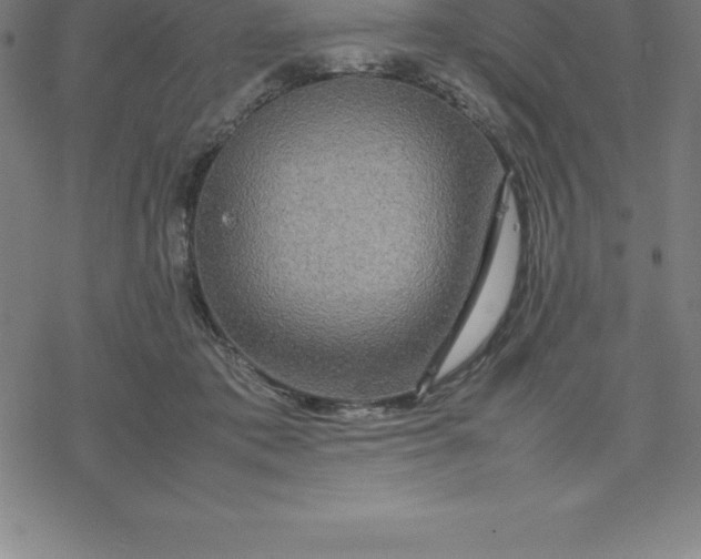 X0000077290413200611101348