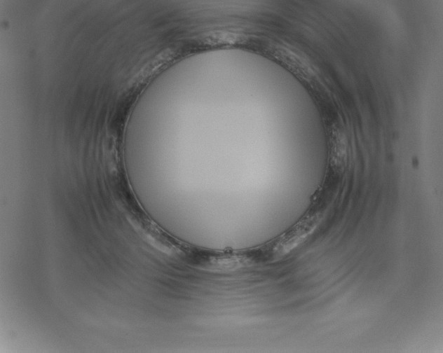 X0000077290414200611101348