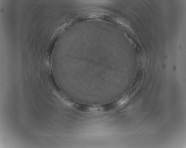 X0000077290415200611101348