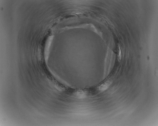 X0000077290416200611101348