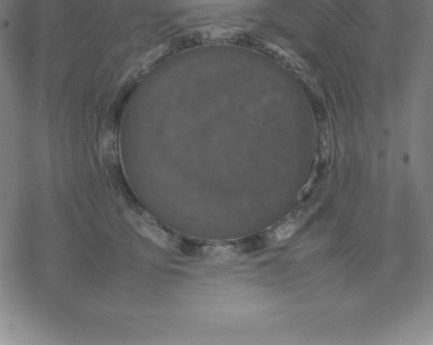 X0000077290419200611101348