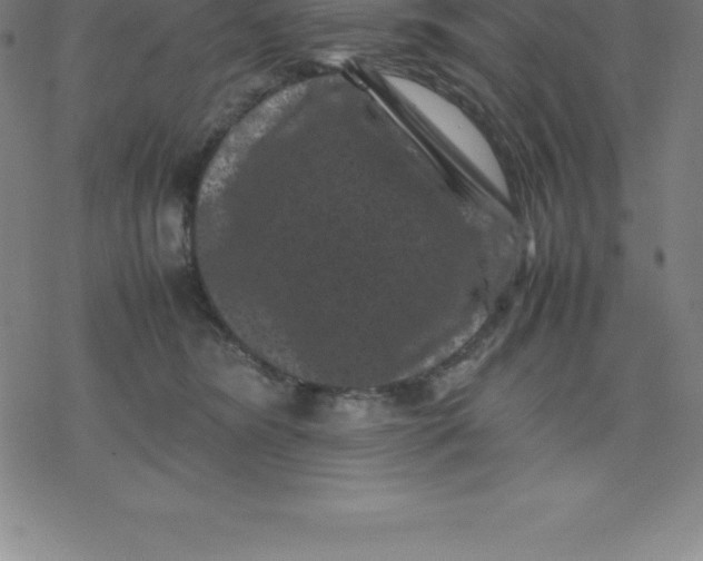 X0000077290420200611101348