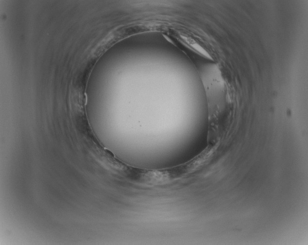 X0000077290421200611101348