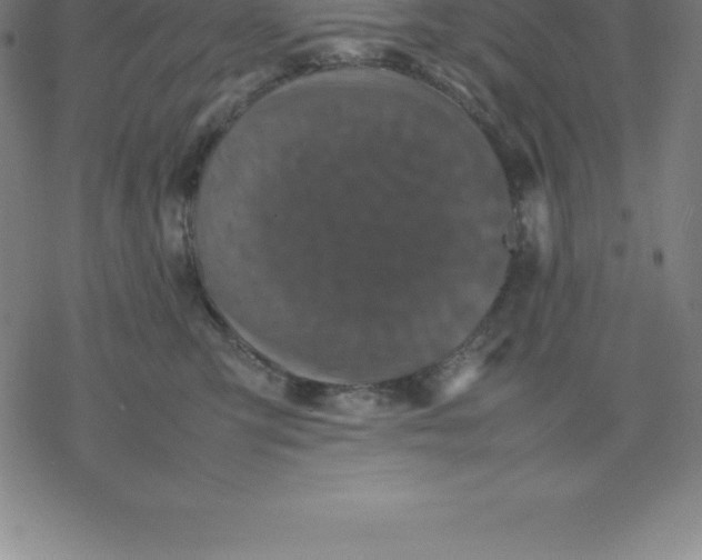 X0000077290423200611101348