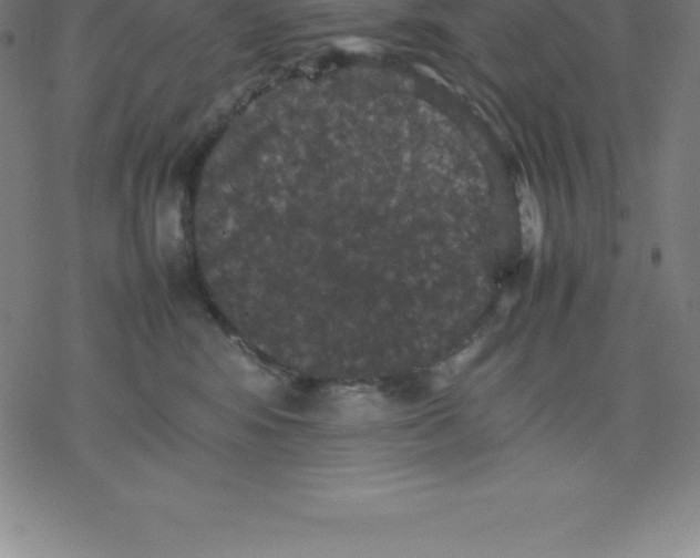 X0000077290424200611101347