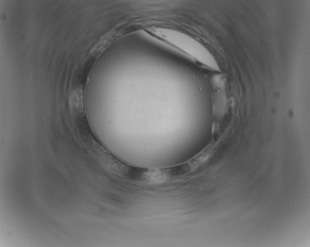 X0000077290425200611101347