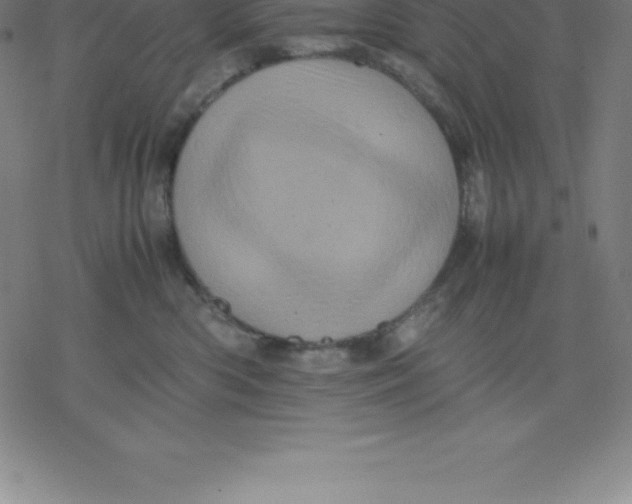 X0000077290426200611101347