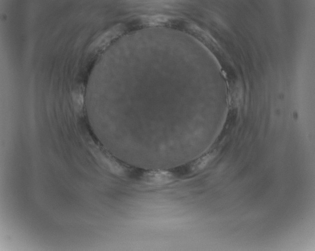 X0000077290427200611101347