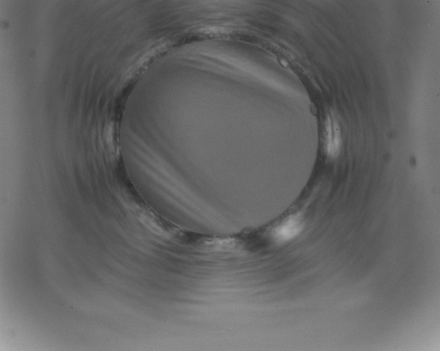 X0000077290428200611101347