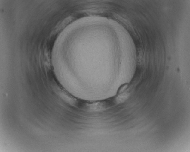 X0000077290430200611101347