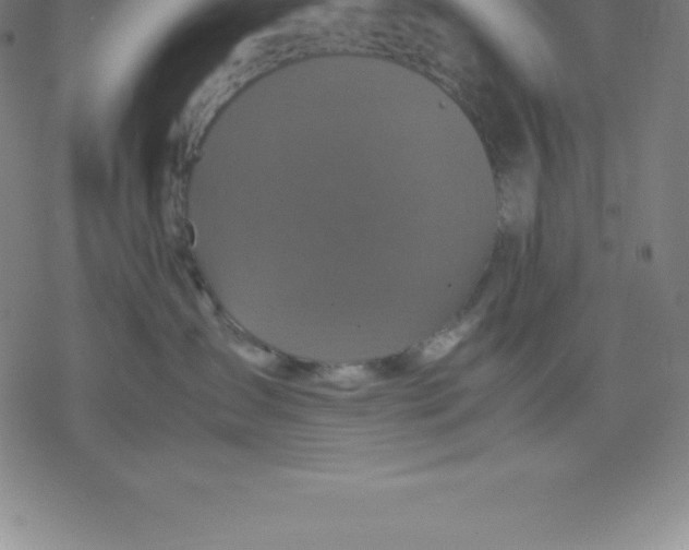 X0000077290431200611101347