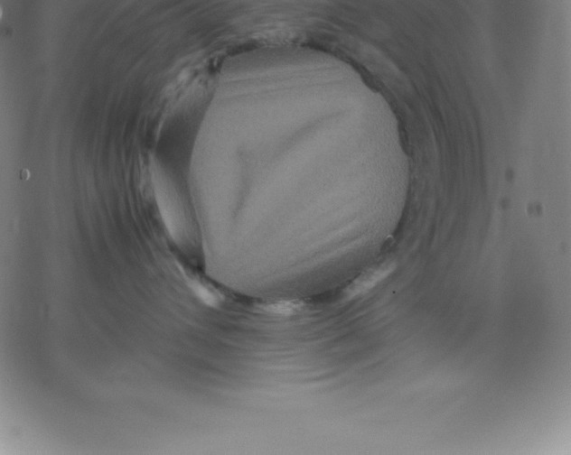 X0000077290432200611101347