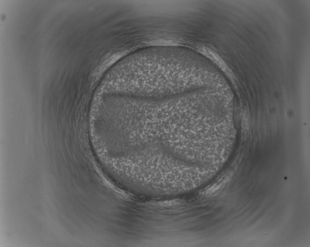 X0000077290433200611101347