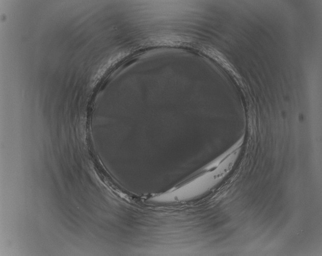 X0000077290434200611101347