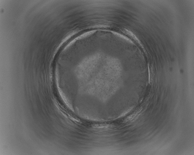 X0000077290435200611101347