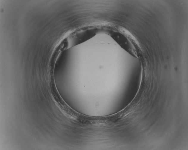 X0000077290436200611101347