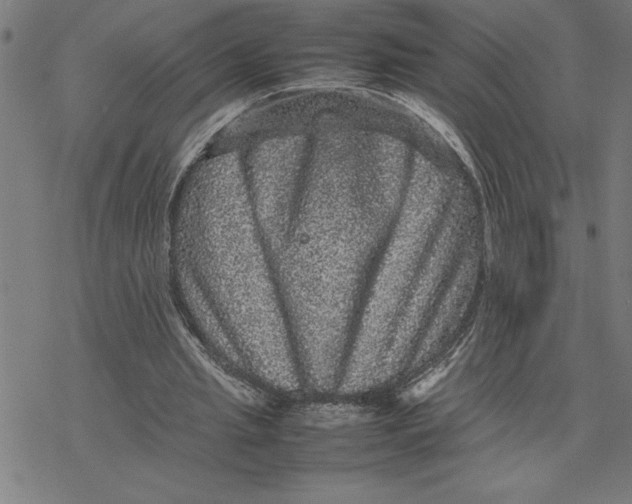 X0000077290437200611101347