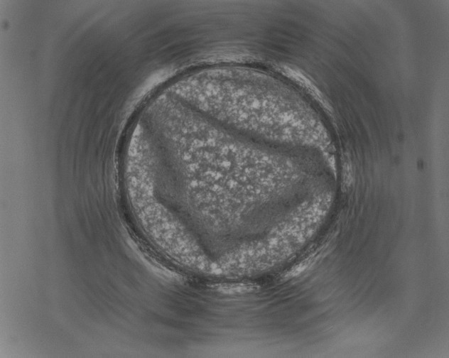 X0000077290439200611101347