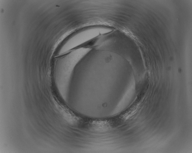 X0000077290440200611101347