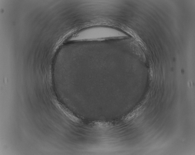 X0000077290442200611101347