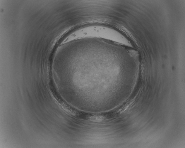 X0000077290444200611101347