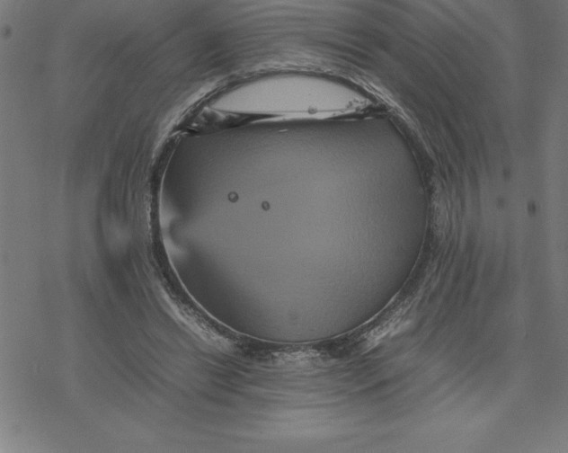 X0000077290446200611101347