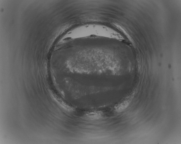 X0000077290447200611101347