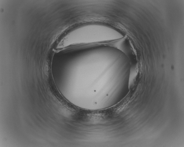 X0000077290448200611101347