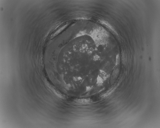 X0000077290449200611101347