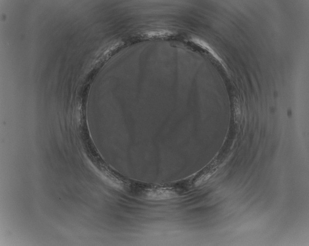 X0000077290451200611101347